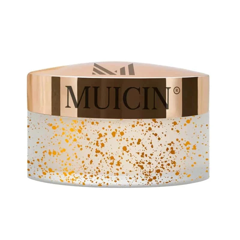 Translucent Setting Powder Limited Gold Edition