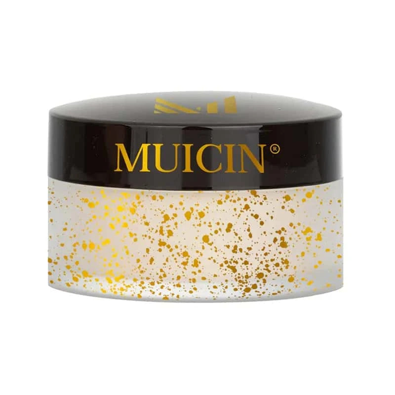 Translucent Setting Powder Limited Gold Edition