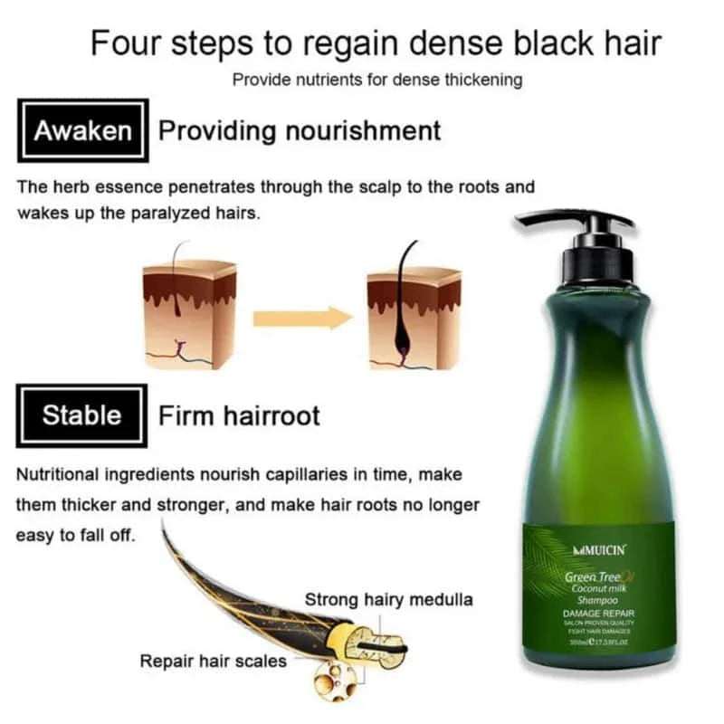 Green Tea & Coconut Milk Hair Shampoo