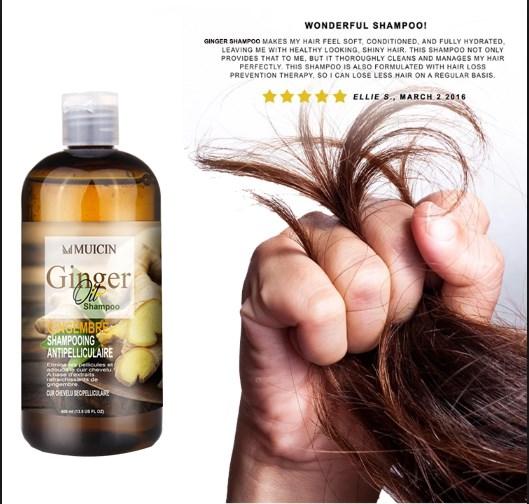 Ginger Oil Shampoo Gingembre for Anti Hair Fall &amp; Dandruff Control - 400ml