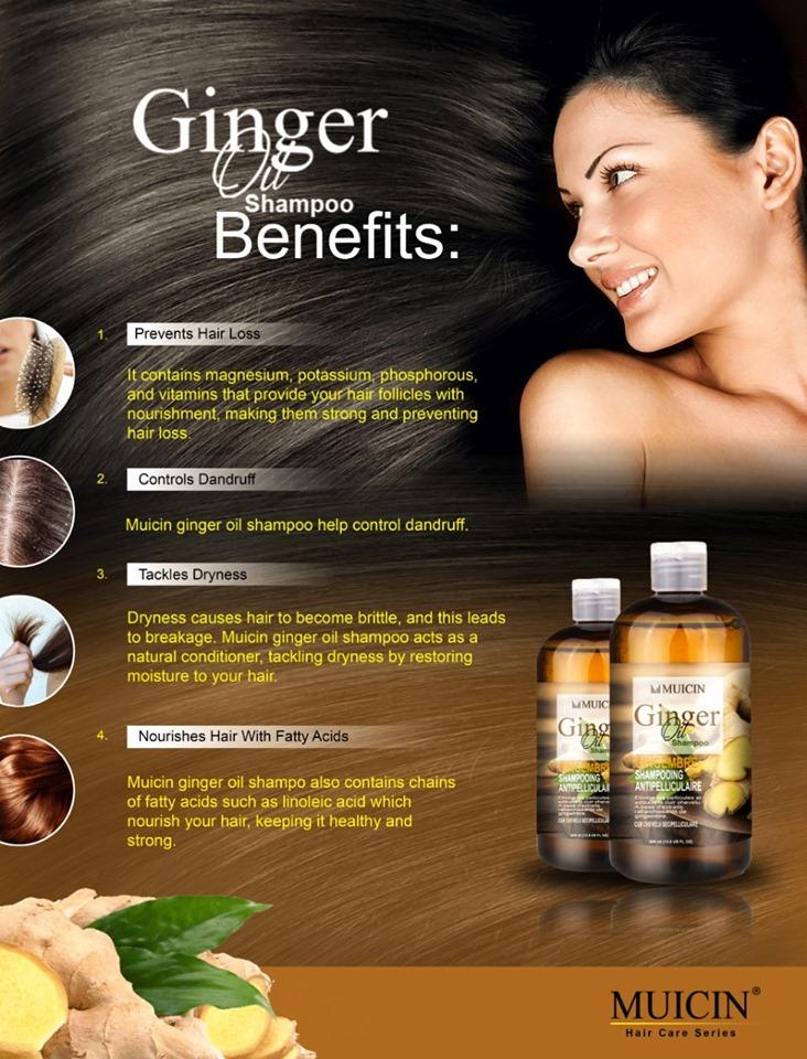 GINGER OIL SHAMPOO GINGEMBRE FOR ANTI-HAIR FALL &amp; DANDRUFF CONTROL - DUAL ACTION SCALP CARE
